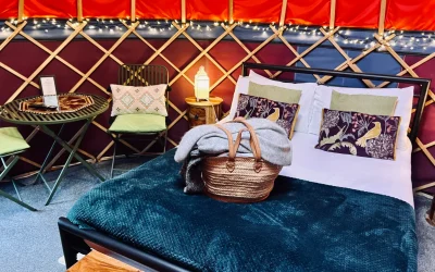 Top Tips for an Unforgettable Glamping Experience in Somerset