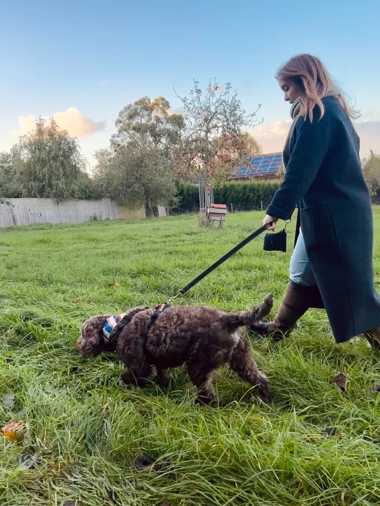 A woman in a long winter coat walking her brown curly-haired dog through a lush green field at Walnut Barn Estate, capturing the peaceful atmosphere of a solo dog-friendly getaway.