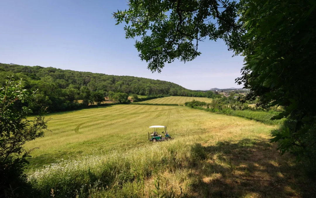 A Greener Way to Get Away: Sustainable Travel Tips for Conscious Holidaymakers